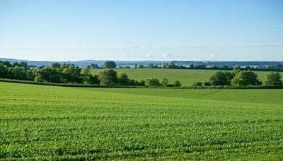 Newsletter signup for Acreage Hub - wholesale real estate updates